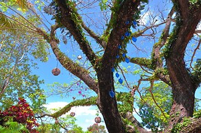 Colibri Boutique Hotel
