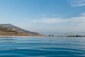 Andros Tessera