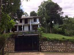 Kandy C