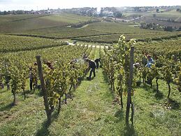 Weingut Seck