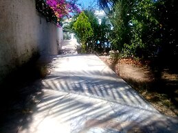 Jungle Apart Hotel