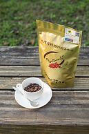 Baishengcun Coffee Farm