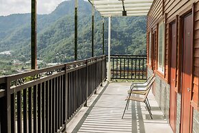 Baishengcun Coffee Farm