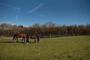 Wanderreitstation Gut Mischenried