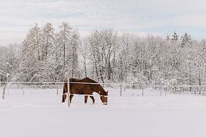 Wanderreitstation Gut Mischenried