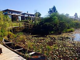 Forest Nature Spa