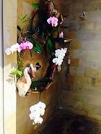Forest Nature Spa