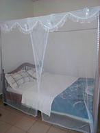 Rena Akasha Establishments