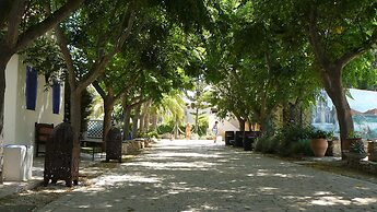 Paraiso Perdido
