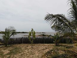 dolphin wadiya
