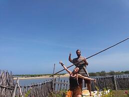 dolphin wadiya