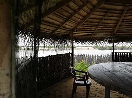 dolphin wadiya