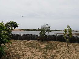 dolphin wadiya