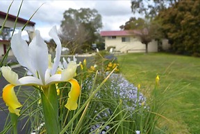 Wattle Motel