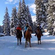 Guest House du Grand Paradis