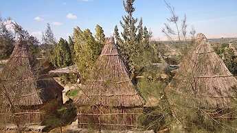 Badry Sahara Camp