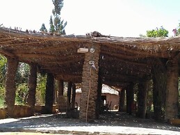 Badry Sahara Camp