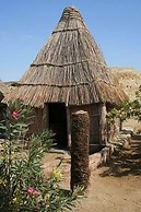 Badry Sahara Camp
