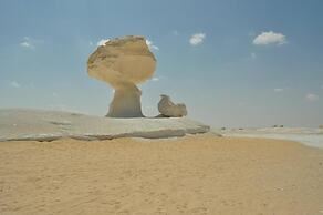Badry Sahara Camp