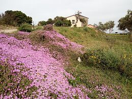 Tenuta Petra Bianca