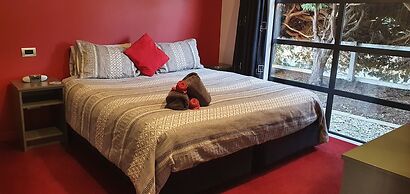 De Vine Martinborough 14a Cologne St