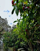 Hotel Aranjuez