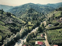 Sana Yasam Koyu