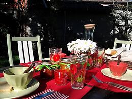 Il Pettirosso
