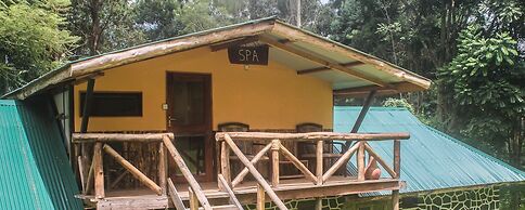 Lawns Hotel