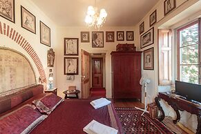 Shepinetree - Pinheira House