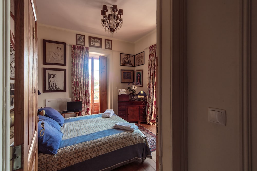Shepinetree - Pinheira House