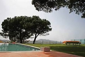 Shepinetree - Pinheira House