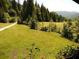 Seewiesenalm