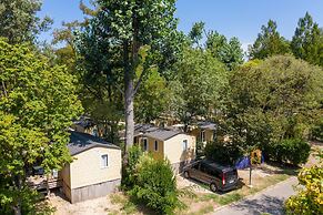 Camping Du Pont D'Avignon