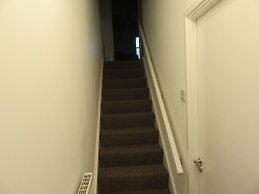 No 5
