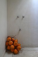 Coco Tangalla