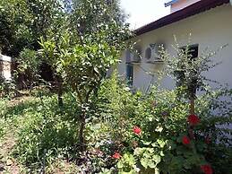 Kas Lemon Hotel