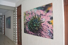 Hotel Acapulco Amor