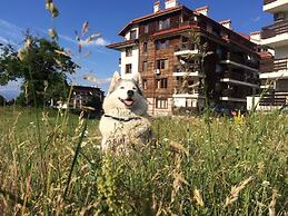 Four Leaf Clover Apartments to Rent