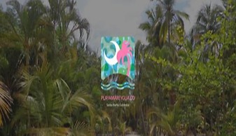 Playa Mareygua