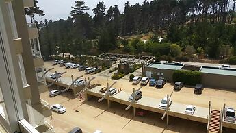 Pinares del Canelillo