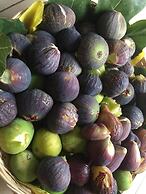 Tenuta Palmira