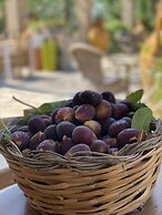 Tenuta Palmira