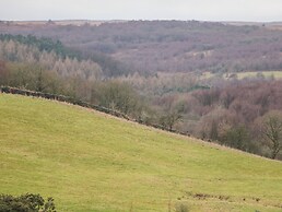 The Old Robin Hood