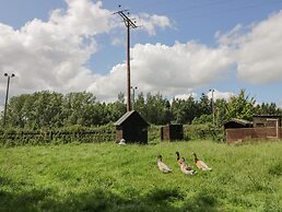 Betty's Barn