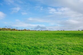 Bwythyn-y-wennol