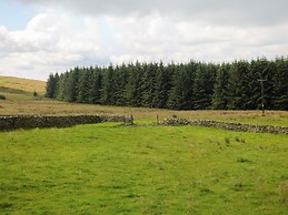 Downsdale Cottage
