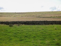Downsdale Cottage