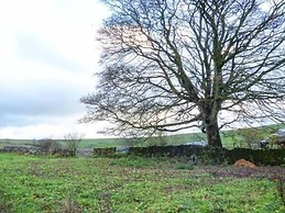 3 Primitive Croft