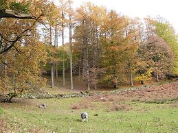 Cherry - Woodland Cottages